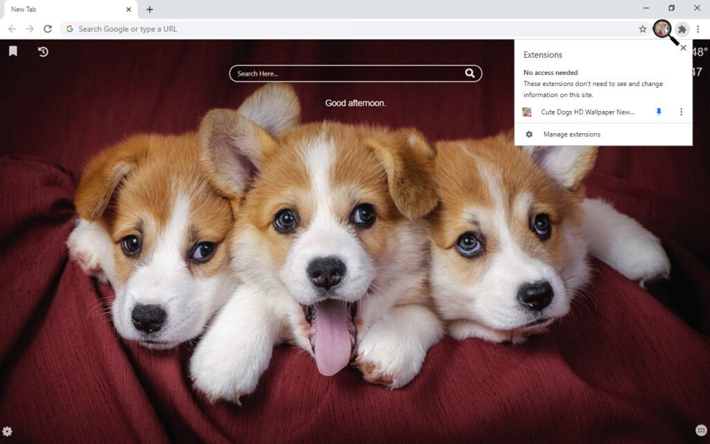 Cute Dogs HD Wallpaper New Tab WallpaperTab